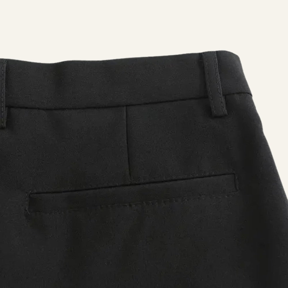 Men's Slim Fit Old Money Anti-Wrinkle Pants – Darvon