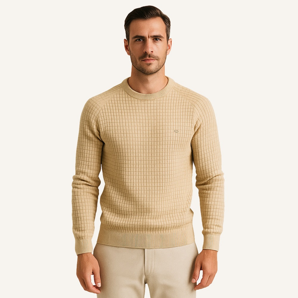 Men's Textured Sweater – Pesson Nollan
