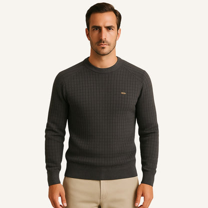 Men's Textured Sweater – Pesson Nollan